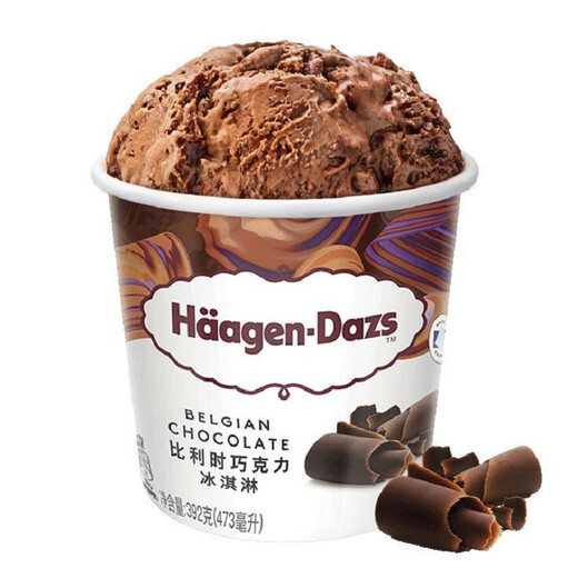 Haagen-Dazs Belgian chocolate ice cream 473ml