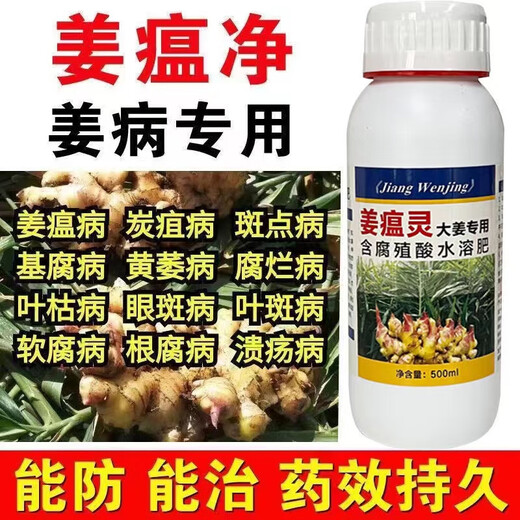 Special pesticide for ginger disease, ginger fungicide, ginger fungicide to prevent and control ginger blast, root rot, soft rot, 500ml/20 bottles