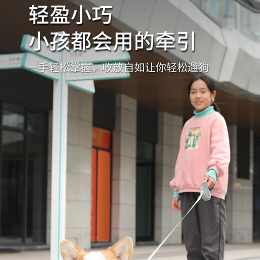 Dipur Dog Rope Automatic Retractable Dog Leash Dog Rope Small and Medium-sized Dog Puppy Walking Rope Dog Chain Dog Leash* Automatic Leash 3M