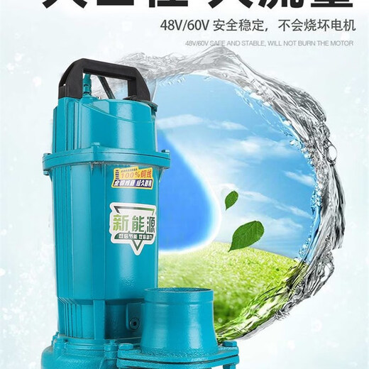 Pupan Pompe submersible DC à débit élevé Pupan 48V60V72V Légumes d'arrosage 3 pouces 4 pouces petits 1 pouces 4872V universel 400W7 mètres