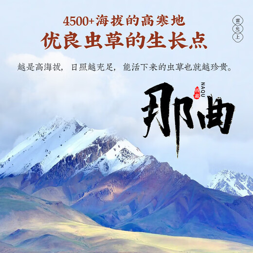 雷允上野生冬虫夏草2.2根/g 30g约66根那曲虫草高端礼盒送领导