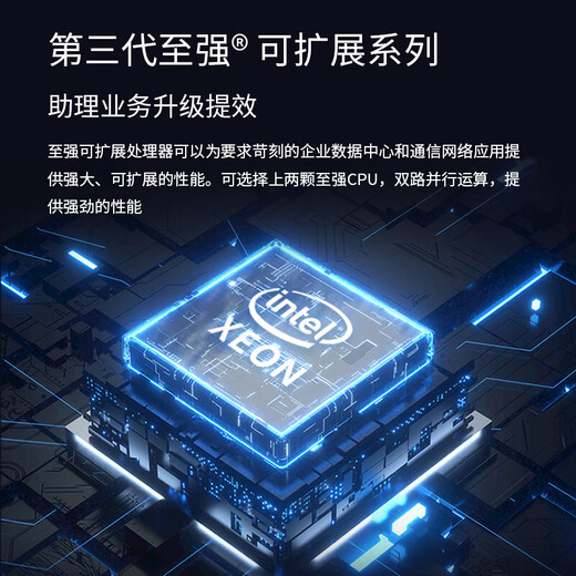 戴尔DELL服务器主机R250/R260 1U机架式【R250】至强E-2356G |32G内存 |2*2T硬盘