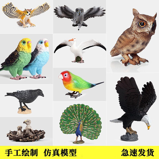 Simulación Oenux Modelo de animales Toys Bird Birds Owl Eagle Parrot Pavo Pavo avalde