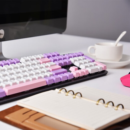 罗技（Logitech）K845机械键盘械键轴有线机械键盘电竞游戏T台式外接笔记本电脑 104键全尺寸单光商用款G102套装 K845紫色恋人-青轴