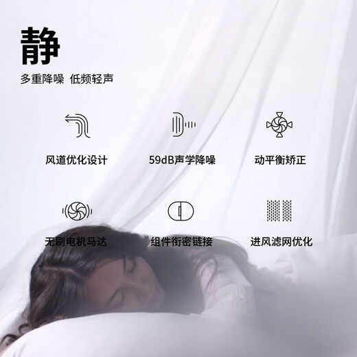 Aolga Premium Double 11 Promotion Aolga Home High-speed Hair Dryer Quick-drying Negative Ion Hair Dryer High Power Constant Temperature Hair Care Silent High Wind Dryer Hotel Same Style DF21 Gray Standard Edition + Magnetic Wall Mounting Bracket