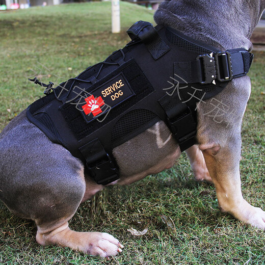 宠物户外背包拉力包自驮包战术包中大型犬马犬金毛恶霸斗牛自背包 黑色带小包 M适合30-60斤