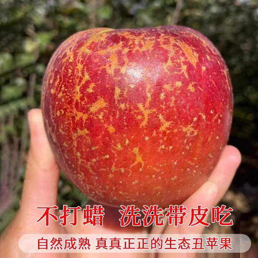 Jingmi Sichuan Daliangshan Ugly Apple Net 4.5Jin Jin is equal to 0.5kg Single fruit 70mm + fresh fruit rock candy heart apple straight from the source