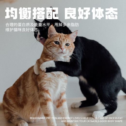 安贝安诺成猫专用猫粮 35%鱼肉+25%鸡肉配方英短美短猫咪通用粮3斤 鱼肉味猫粮1.5kg