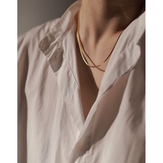 Fat Donglai same style snake bone necklace 18K gold Danish fashion brand DYRBERG/KERN fashion medical steel thick plated clavicle