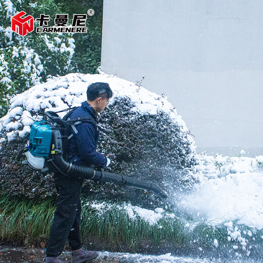 Kamani BBX9900 greenhouse snow blower industrial blower high power gasoline hair dryer back-loaded wind fire extinguisher EB851 (power 2800W)