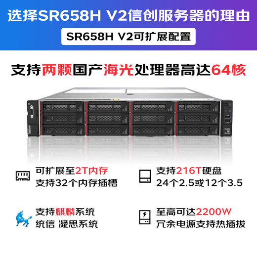 Lenovo Server / Workstation / Desktop Personnalisation [SR658HV2] 2 7375 64 CORES 256G 丨 2 BLOCS 600G + 6 BLOCS 6T 丨 A800-80G