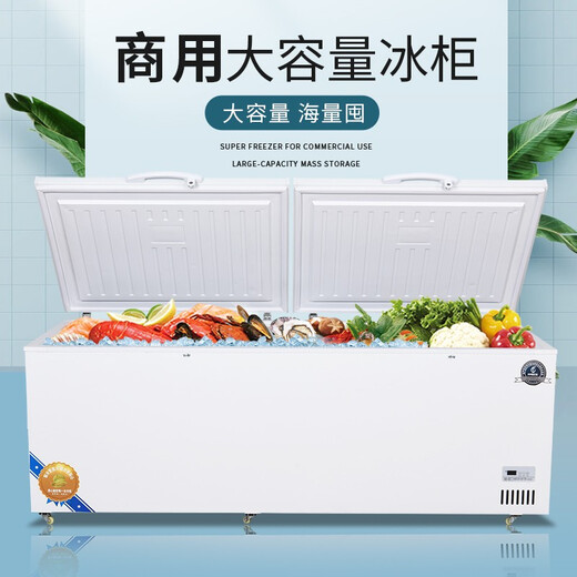 冰诺玺冰柜商用大容量冷冻柜家用卧式冷柜大容量冷藏冷冻展示柜商用冷冻柜商用冷柜 728双温1730*650*850(冷藏冷冻)