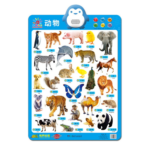 Sunshine Baby pronunciation audio wall chart (selected 10 types, 4 sets, 40 pictures in total)