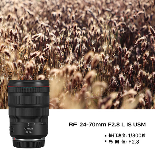 Canon r5 professional mirrorless camera, bird shooting equipment, digital camera, eos r5 full-frame Vlog camera, 8K video shooting, place an order for Labubu & Jindou R5 disassembled body + RF24-70 F2.8 lens, package five, high-capacity dual charger and dual battery + professional flash fill light + professional microphone