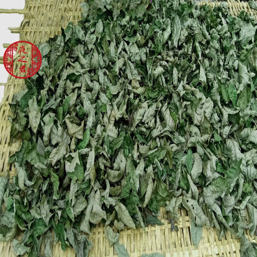 Jiangxi Xiushui wildes Pflanzen und wachsende grüne Geldweide Tee High Mountain Originalgeschmack Deep Mountain Selbstverpackte alte Baumblätter Gesundheit Tee Qingqian Liuyuan Blätter 250g