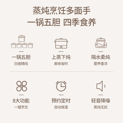 Tianji (TONZE) Electric Stew Pot, Soup and Healthy Bird's Nest Cup, Porridge, Steaming and Stewing, Can be Stewed with Water at a Predetermined Time, Creamy White 2.5L, Five Galles in One Pot (Stewed with Water) 2.5L