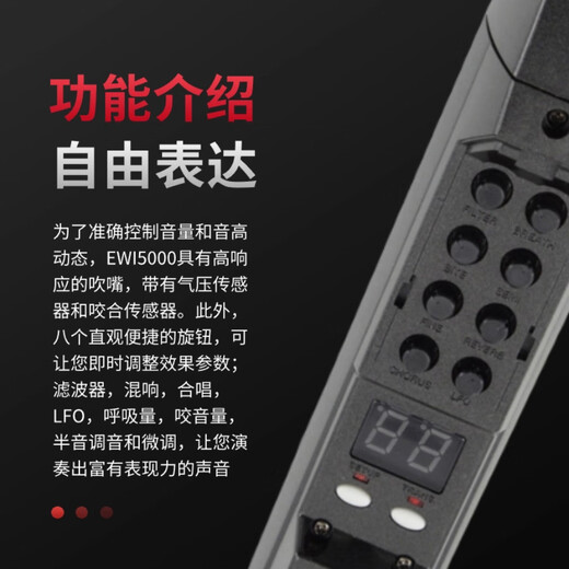 AKAI PROFESSIONAL全新进口雅家5000电吹管乐器十大品牌SOLOC官方初学者专业雅佳 标配 5000黑色