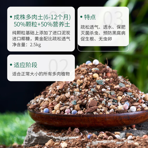 Manlife 5KG succulent soil granular soil planting soil succulent special soil nutrient soil plant adult plant 50% particles + 50% soil