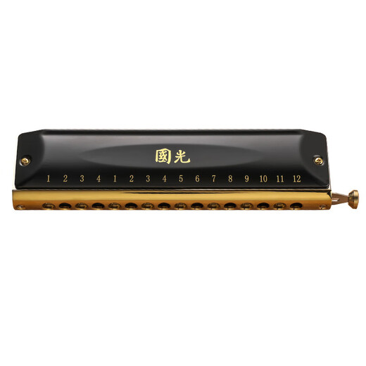 Guoguang Chromotic Harmonic 12-hole 48-tone C-tune 16-hole Advanced Professional Performance Beginner Adult Children Primary School Students 10-hole C-tune Guoguang Silver (Square-mouth Standard)