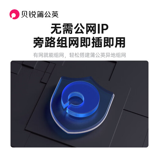 Belui Dandelion Dandelion X1 router bypass networking box nas self-built private cloud hard disk change cloud disk network storage off-site networking DIY home Nas accessories