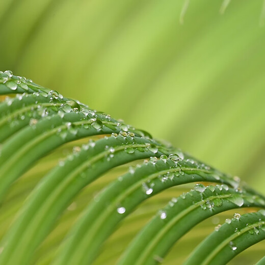 Nikon NIKKOR Z mount lens Nikon Z series mirrorless camera lens Z24-200mm f/4-6.3 VR lens standard