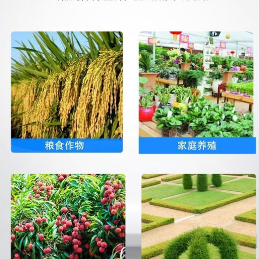 Monoammonium phosphate for agriculture, water-soluble phosphate fertilizer, nitrogen fertilizer, water-soluble fertilizer, general water-soluble fertilizer for fruit trees, flowers and crops, 250g package