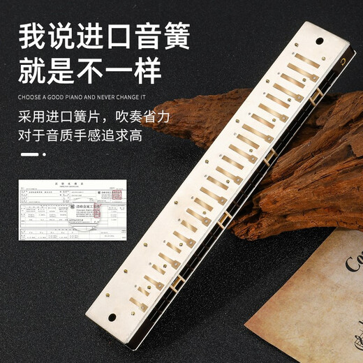 国光上海国光口琴28孔重音高级成人专业演奏级复音C调初学者入门乐器 28孔 C调 国之梦黑色复音+自学礼包
