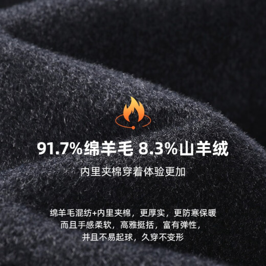 杉杉（FIRS）羊绒夹棉翻领毛呢夹克男秋季新款羊毛加厚外套848 深克叻 XL (180)