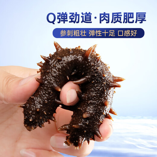 Gong Yi Dalian ready-to-eat sea cucumber 1Jin Jin is equal to 0.5 kg 5-8 pieces, solid content exceeds 80%, fresh sea cucumber processing, no need to soak