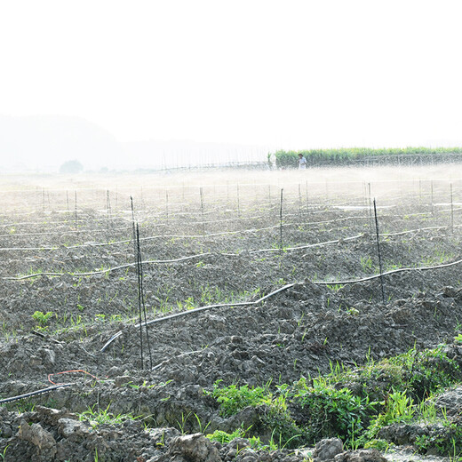 Zeego MD4100 automatic watering device for field orchard planting, rotating sprinkler system, agricultural farmland irrigation equipment, 30 heads for field 100 meters