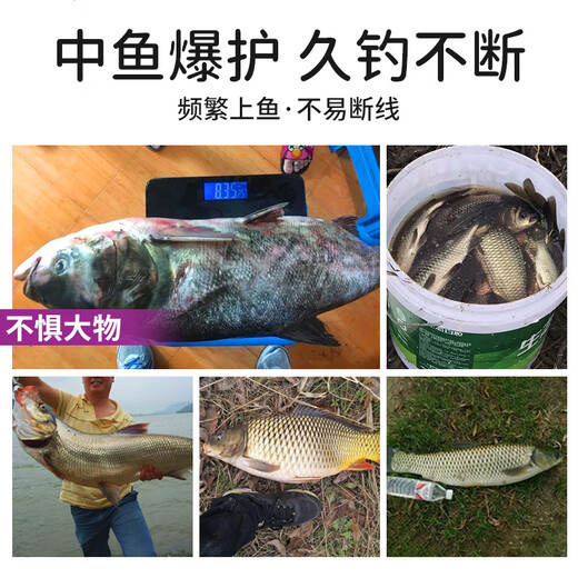 SIMAGO Ximanduo fishing line main line high quality Toray raw silk sub-line strong pull outdoor wild fishing platform fishing nylon line classic 50m Toray raw silk sub-line 0.4