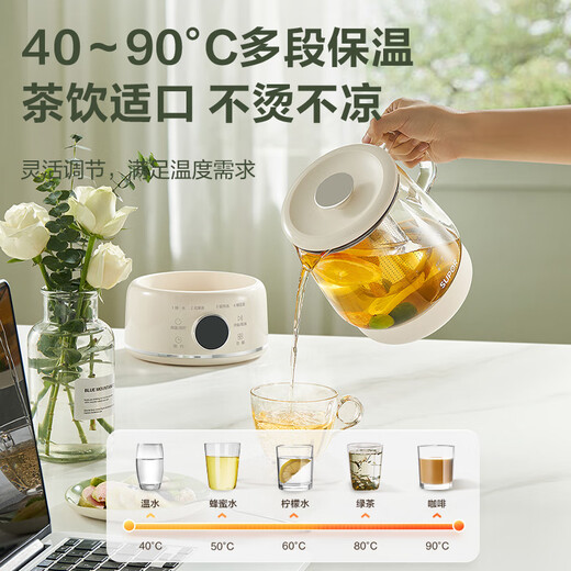 SUPOR Health Kettle, Tea Boiler, Tea Kettle, 316L Stainless Steel Filter Insulation Electric Kettle, 1L Flower Tea Kettle, Office Health Cup, Electric Stew Cup, SW-10Y04 1L