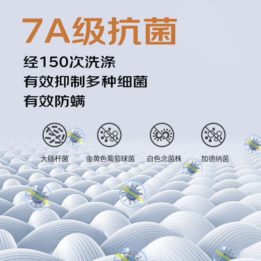 AB女士保暖内衣上衣单件薄款秋冬纯棉圆领内穿贴身棉毛衫秋衣长袖 淡玉 单件上衣 XL 推荐115-125斤【5°-15°】