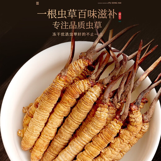 Fudonghai Cordyceps sinensis 20G Geschenkbox erstklassiges Qualitätsstück (4-5 Stücke/g), ausgewählt in großer Höhe gefriergetrocknet