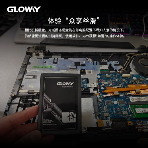 光威（Gloway）1TB SSD固态硬盘 SATA3.0 500MB/s 笔记本/台式机通用 悍将系列