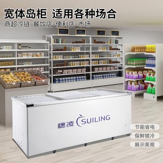 穗凌冰柜展示柜商用冰柜冷冻玻璃门大容量冰柜超市组合冰鲜冷柜海鲜肉类速冻卧式冰箱商用冷柜商用冷柜 【-18℃大型冷冻柜】WD4-1098