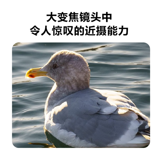 Sony (SONY) E 70-350mm F4.5-6.3 G OSS APS-C full-frame super telephoto zoom G lens SEL70350G