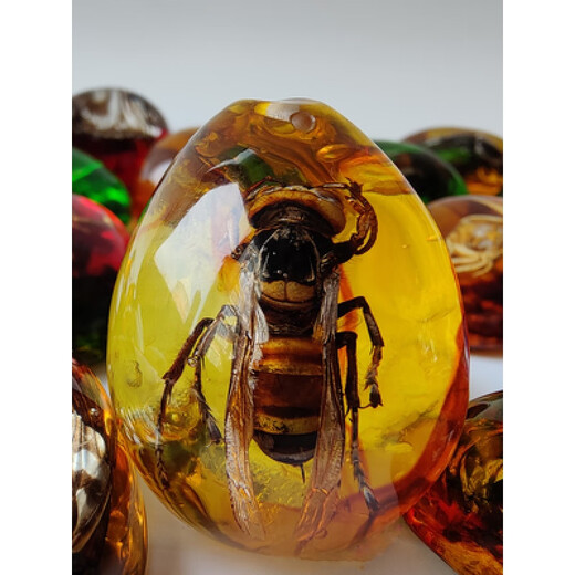 Huilu Insect Amber Pendant Natural Butterfly Specimen Insect Amber Necklace With Insect Animal Pendant Made Fashion Creative Single Side Polished Ocean Blue Scorpion With Lanyard