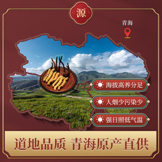 东紫云轩 冬虫夏草 6条1g GMP高标准 严控品质 中药材 中药饮片 1盒装