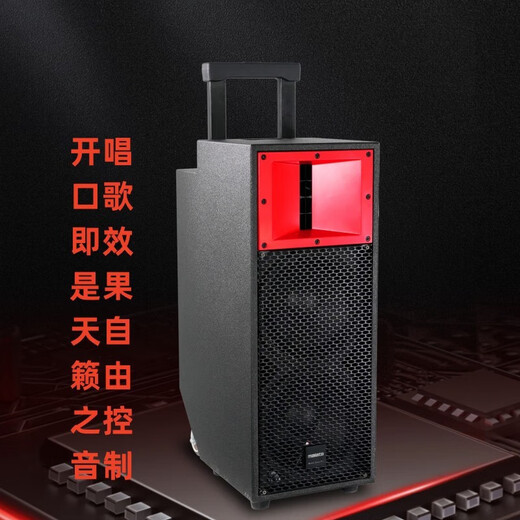 万利达（Malata）M+9788A音响当红不让新9789户外K歌音箱广场舞音响大功率无线蓝牙便携声卡音响带冷漠CQA无线麦克 M+9789+点歌机+四支话筒