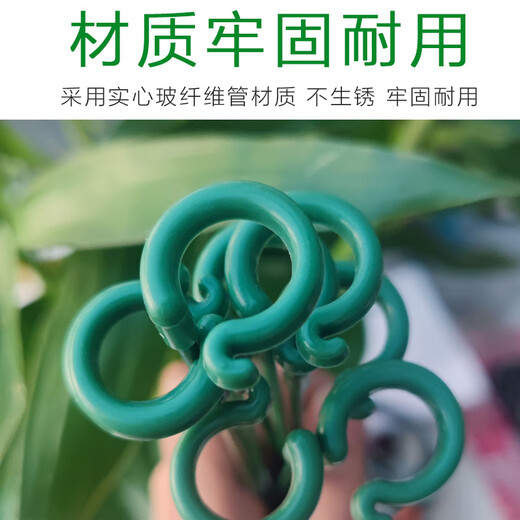 Planta de artesanía de jardín verde Coda anti-bucle de soporte de fibra de vidrio de fibra de vidrio
