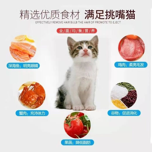 Paide Energy Paide cat food 10 Jin Jin is equal to 0.5 kg 20 Jin Jin is equal to 0.5 kg Packed with fattening gill fish meat flavor 5kg adult cats and kittens American shorthair 1 can Nutritious gourmet cat food + chicken freeze-dried 10kg