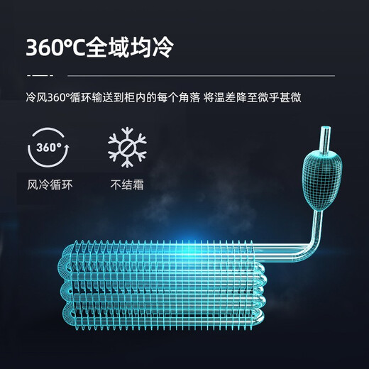 Bacchus wine cabinet 110-160 bottles thermostat cabinet household commercial large-capacity built-in refrigerator tea cabinet wine foreign wine solid wood wine rack light luxury villa display cabinet YC-408 dual temperature air-cooled 154 bottles