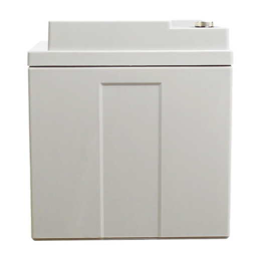 VISENCH Weishen 6FM38G UPS uninterruptible power supply battery maintenance-free lead-acid battery 12V38AH UPS power supply EPS DC screen dedicated