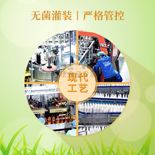 椰泰广东椰泰小轻甘凉茶夏日饮品甘菊金银花罗汉果茶植物饮料整箱消暑 金银花凉茶380ml*15瓶