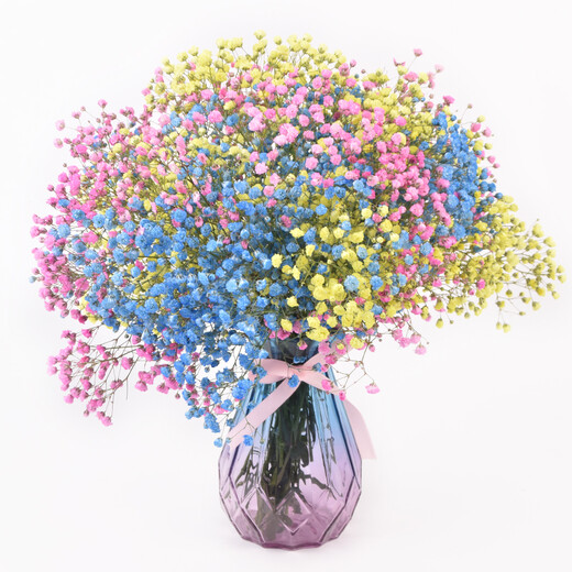 AIMAN Gypsophila Natural Dried Flower Bouquet Ins Internet Celebrity Birthday New House Decorative Ornaments Air-Dried Real Flower Arrangements Home Furnishings Purple Gypsophila With M Vase