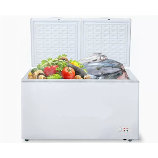 Lechenxin BD/BG-1000 Xingnan Freezer Commercial Large Capacity Refrigerator Freezer Single Temperature Horizontal Capacity 1000L
