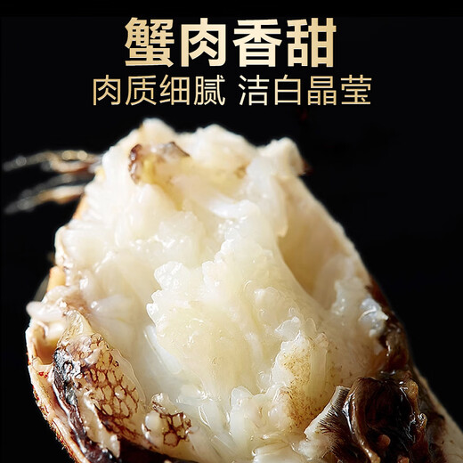 Live Crab Fisherman's Master Hairy Crab Whole Female 3.0-3.3 Liang 8 Pieces Full Weight Fresh Crabs with Rope Removed in Stock Fresh Aquatic Seafood Gift Box
