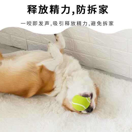 EETOYS Green Tennis Dog Toy Sound Interactive Washable Teeth Cleaning Ball Pet Supplies