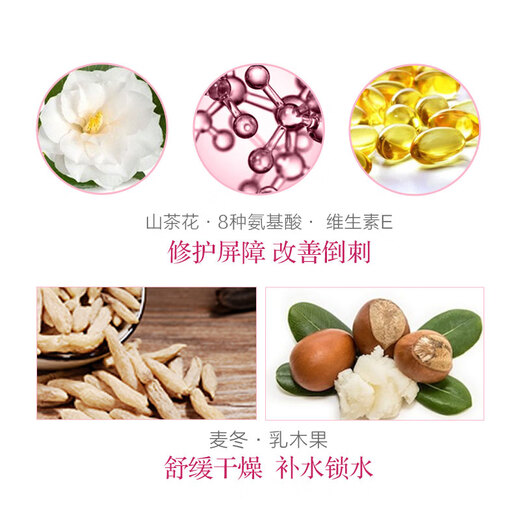 Maxam Autumn Hand Cream 175ml Press-type Large Capacity Moisturizing Refreshing and Moisturizing Hands Camellia Flower Fragrance for Men and Women